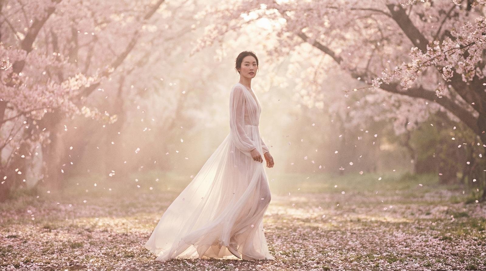 在线看片樱花季唯美视频